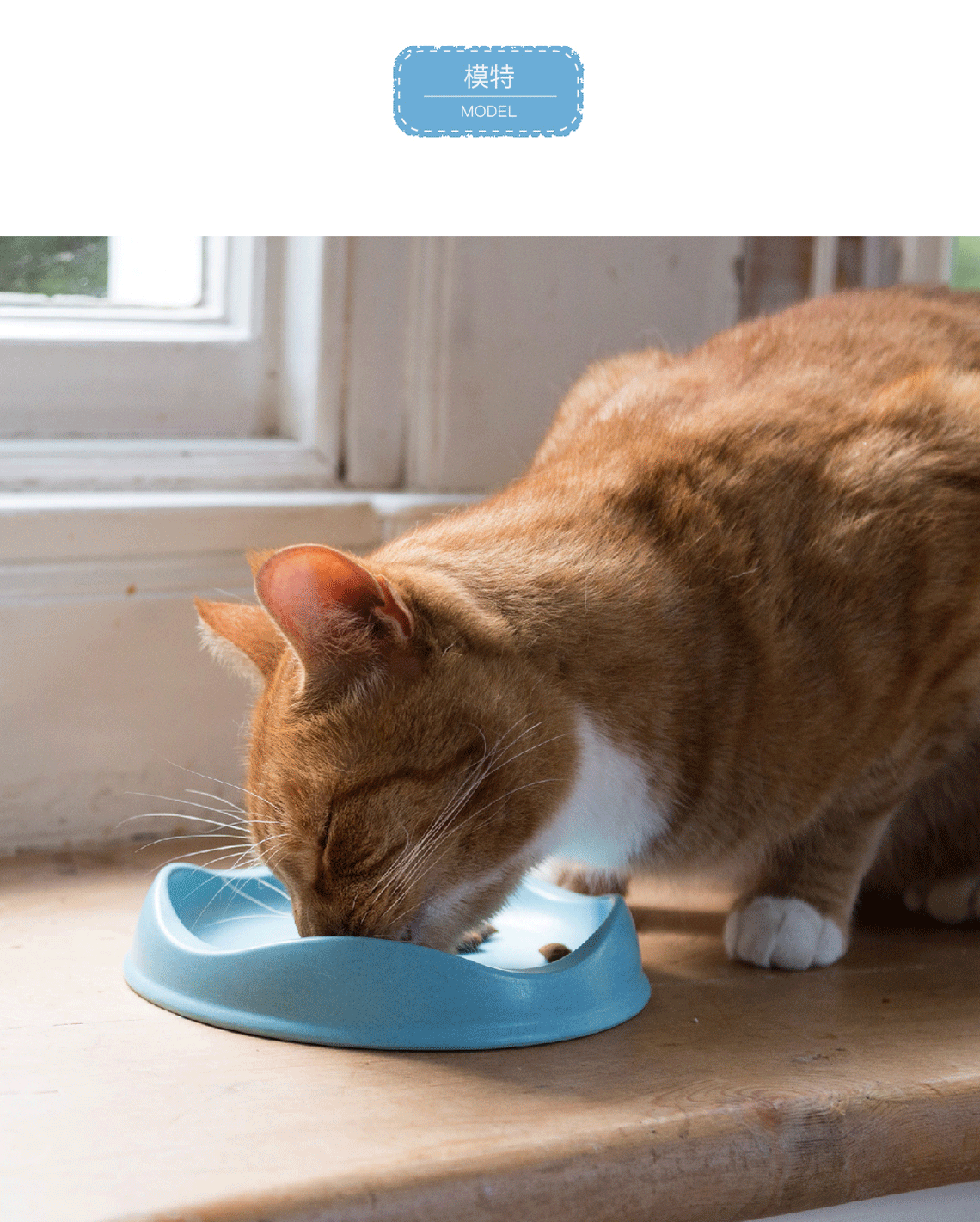 猫咪食碗可生物降解无毒